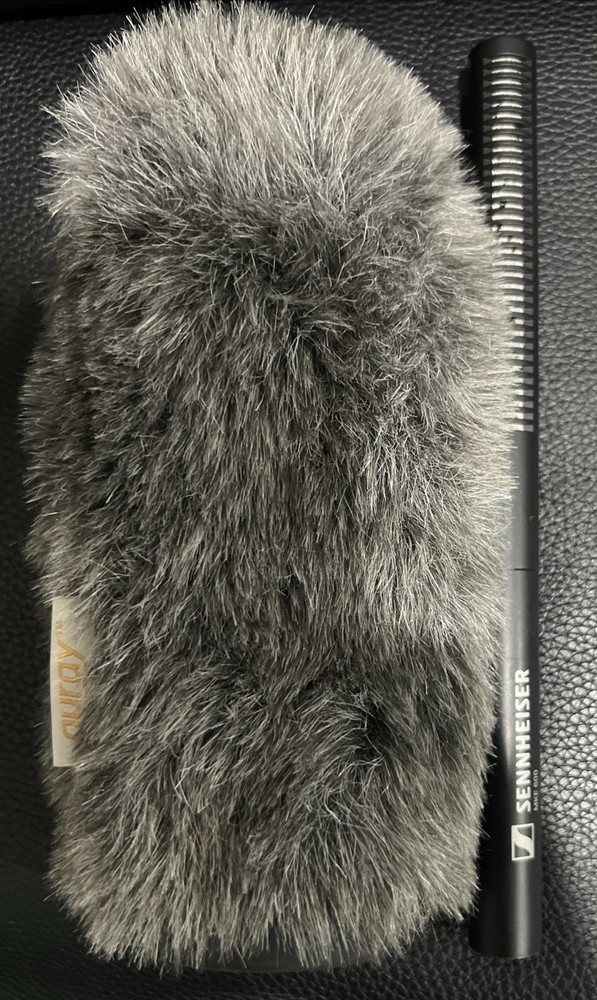 SENNHEISER Microphone (MKE600)