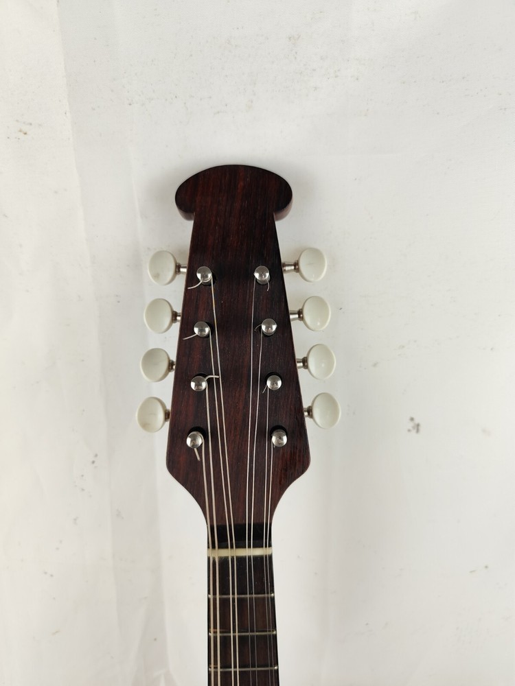 Mandolin 4/4 Raffaele Calace E Figlio 1954 Naples 曼陀林 만돌린マンドリン