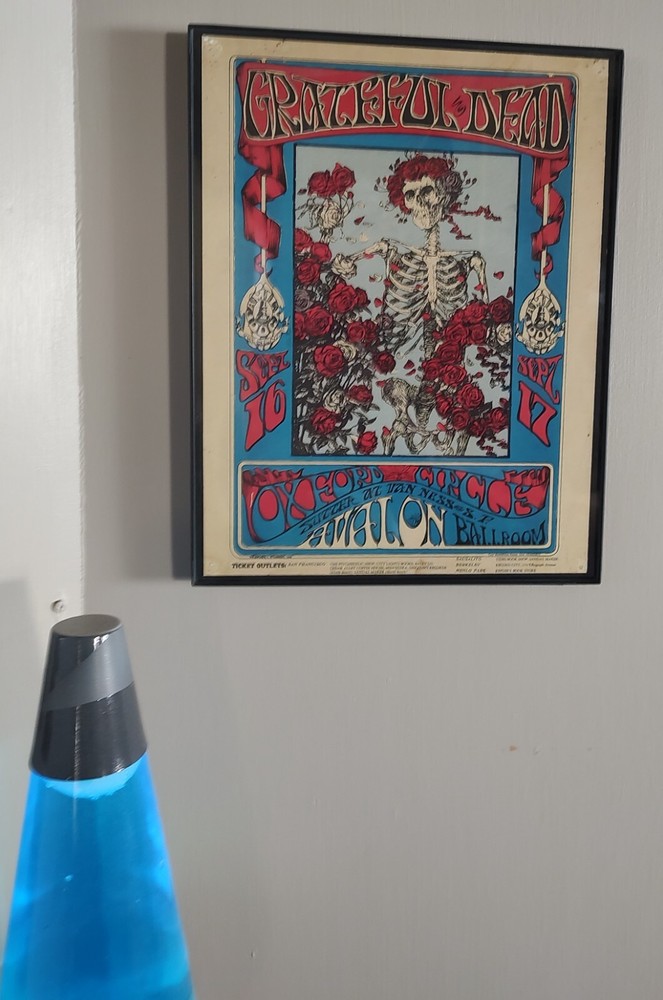 1966 FD 26 / Grateful Dead Skull & Roses  Handbill / Avalon  / Framed  Print