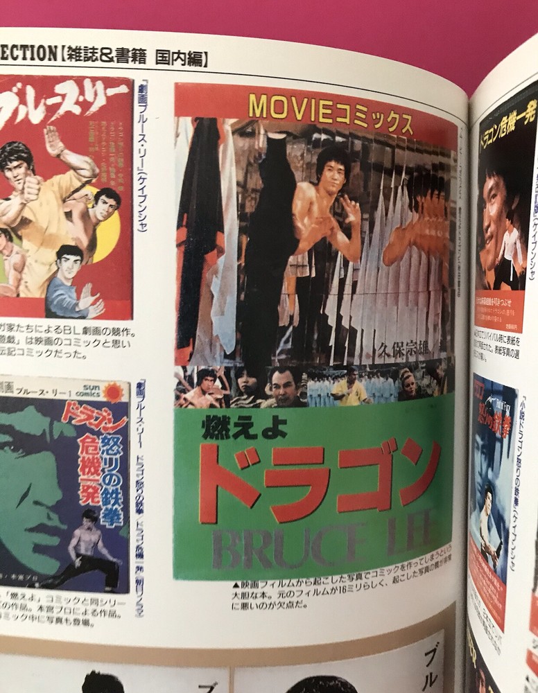 1997 BRUCE LEE Dragon Japan Media Magazines, Posters Color Reference Book