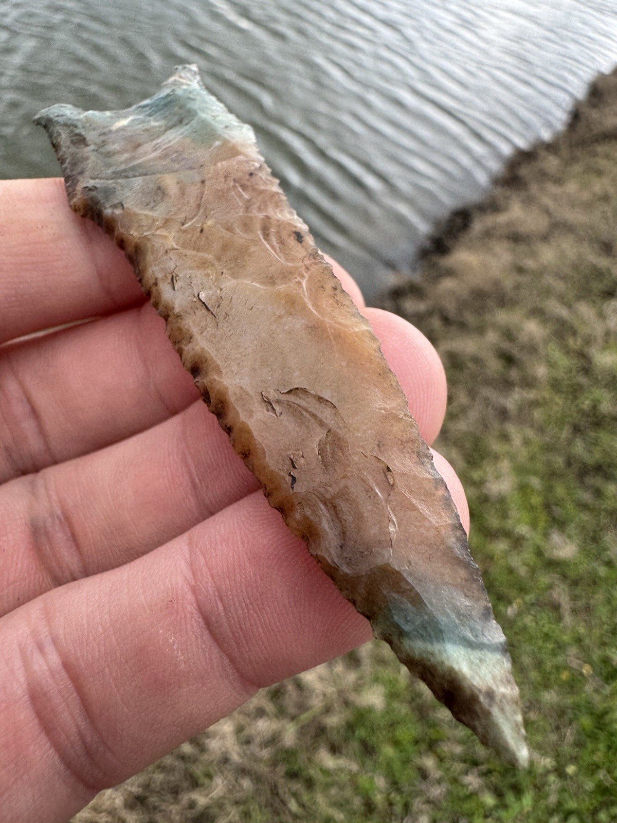 Rare Colorful KILLER Native American Oklahoma Paleo Dalton Fluted Arrowhead Poin
