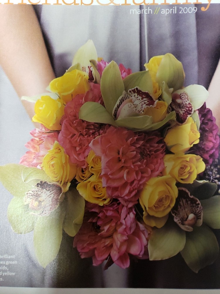 Brides March/April 2009 Magazine