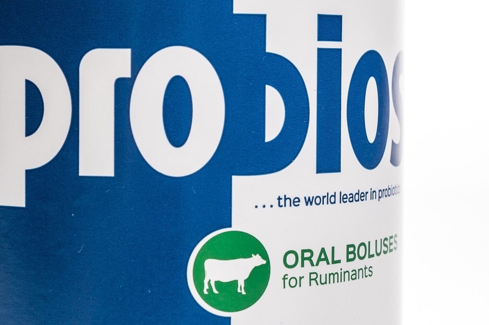 Probios® Bolus, 0.5 oz, 50/jar