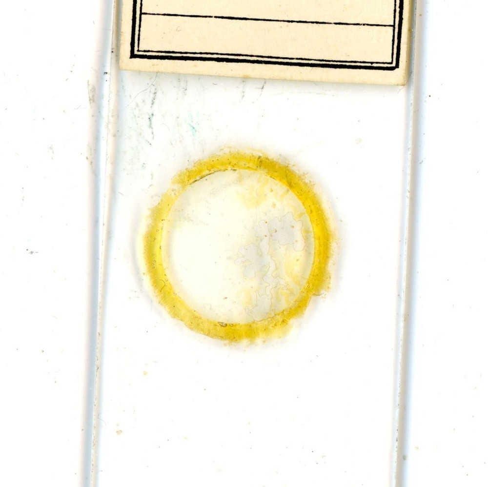 Vintage glass Microscope slide Wheat Meal sample #6