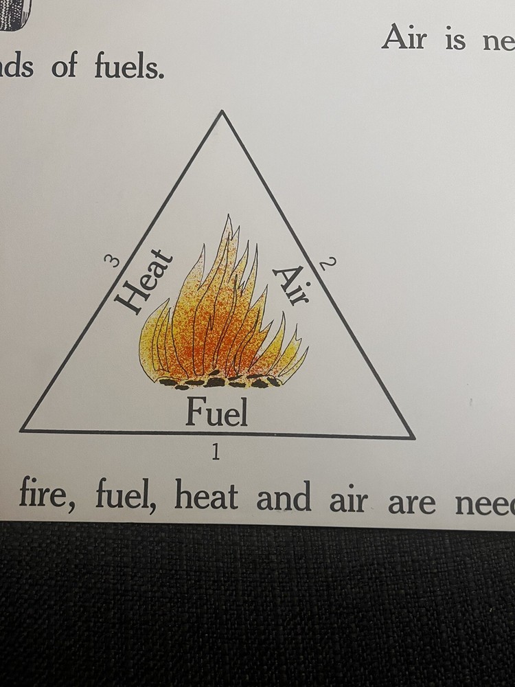 VINTAGE A.J. Nystrom Elementary science chart Fire 🔥 & Light chart 24” x18.5”