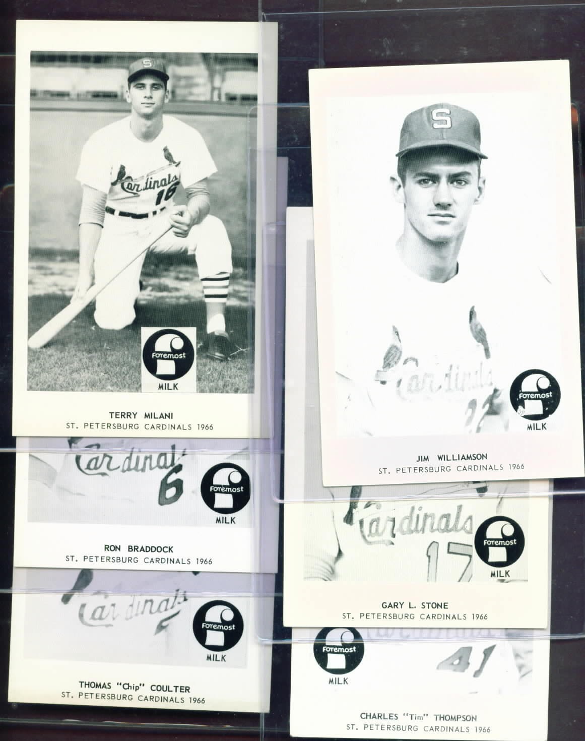 1966 Foremost Milk St. Petersburg Cardinals Set (20) w/ Program SPARKY ANDERSON
