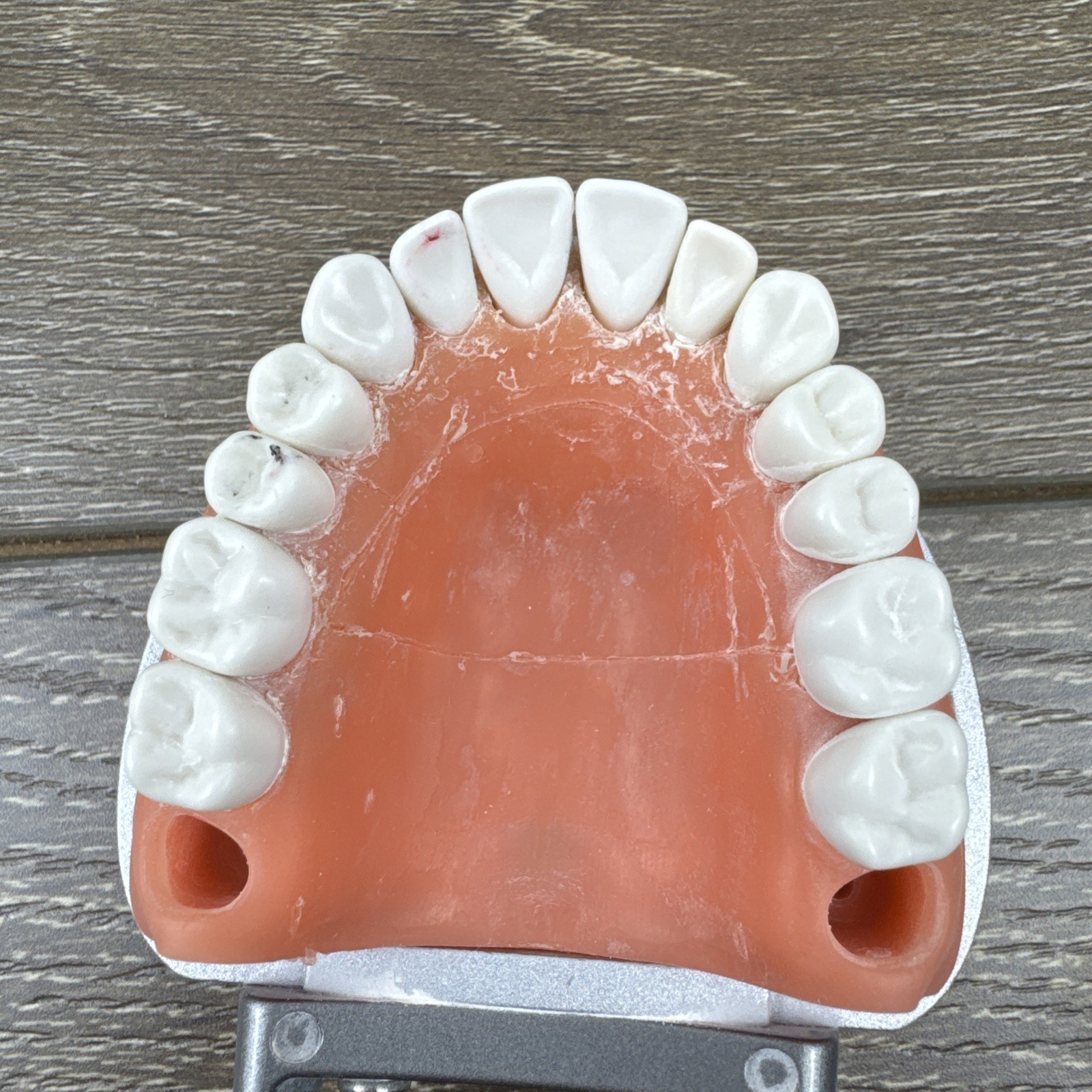 Acadental ModuPRO MP_R320 Restoration Typodont & Case WREB CDCA ADEX Teeth #58