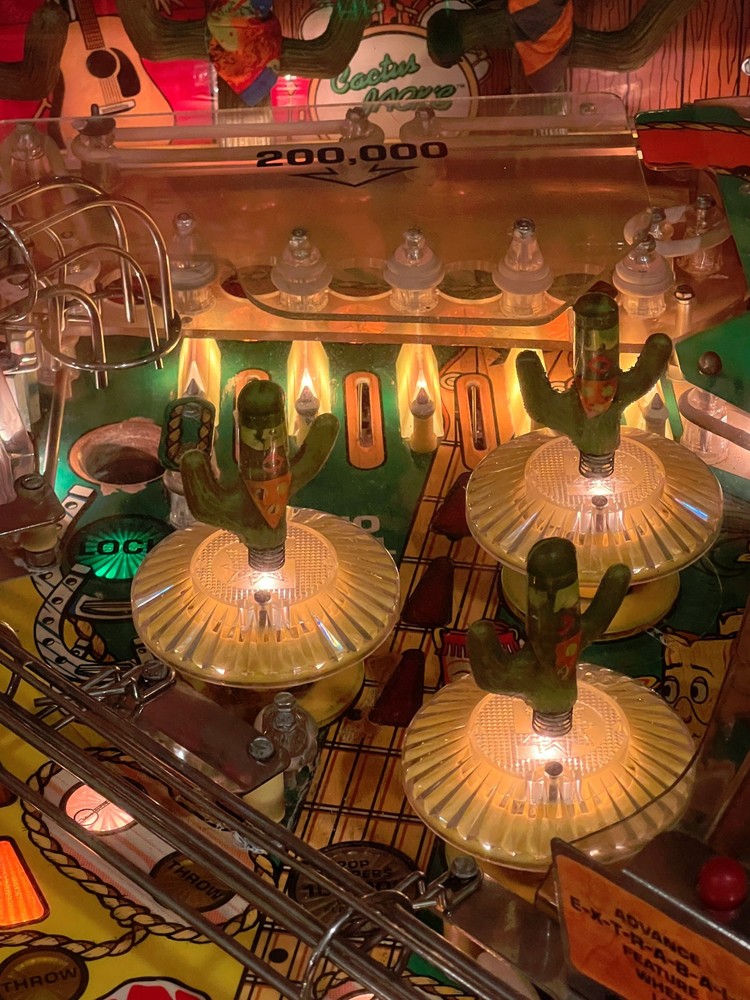 CACTUS JACK PINBALL MACHINE