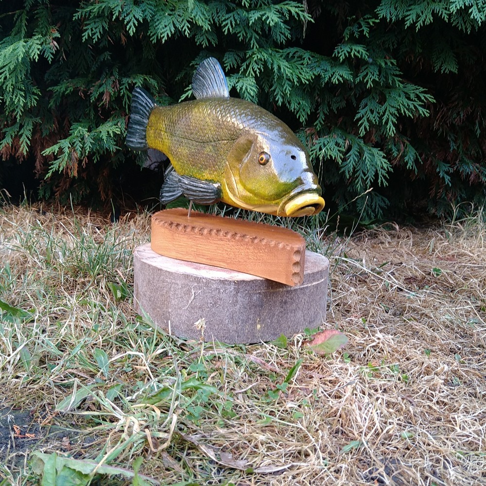 Tench Fishing , fish