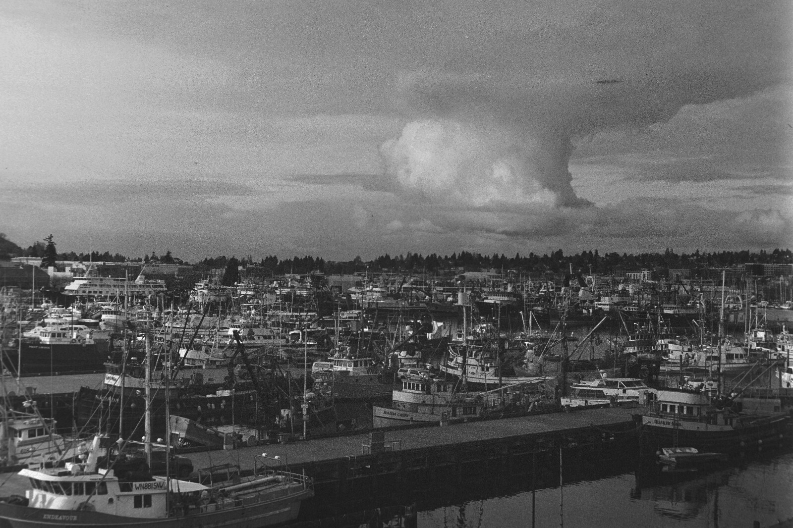 [New] Cumulus Portable Film Scanning Digitalize System for 35mm/135 with DSLR