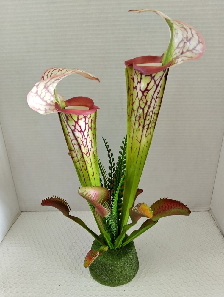 Pitcher plant and Venus Flytrap Decoration