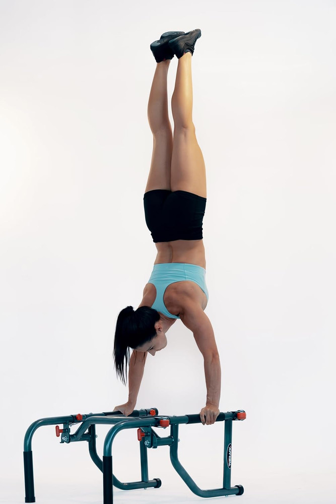 Workout Station 30 Lb Pro Version