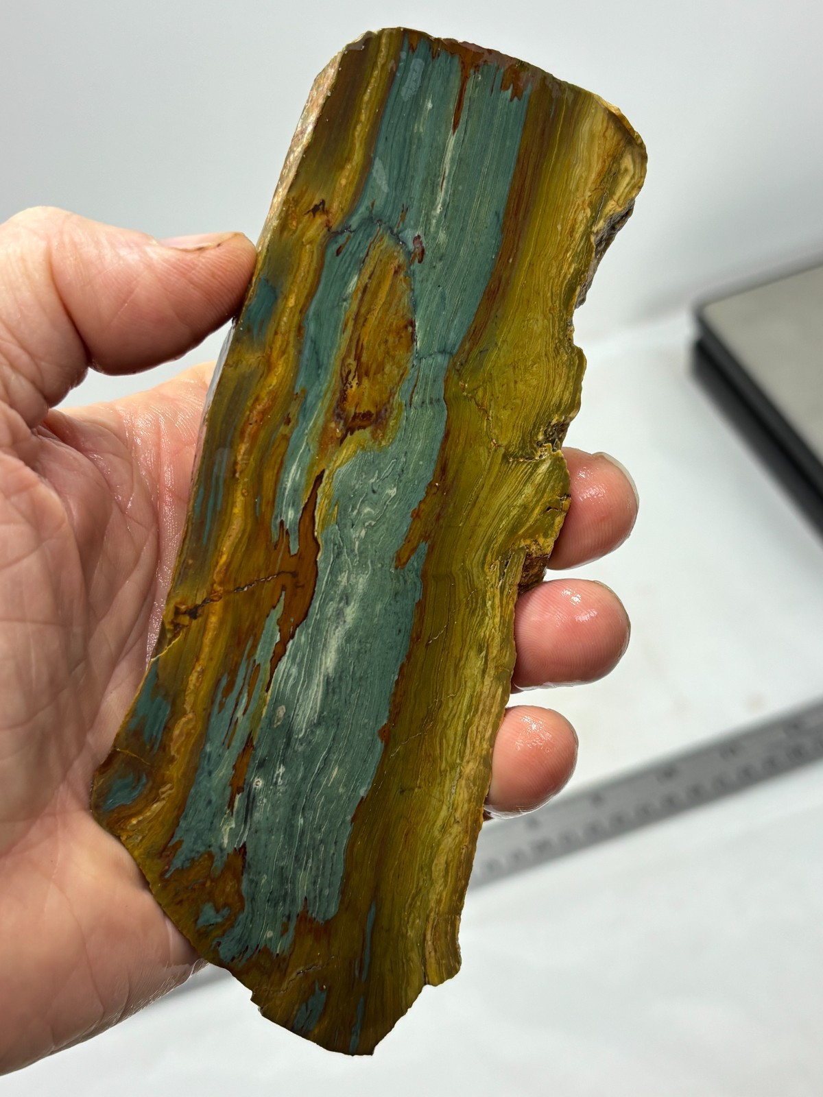 Gary Green Caldera Freedom Jasper Slab Cabbing Lapidary Combo Ship Avail