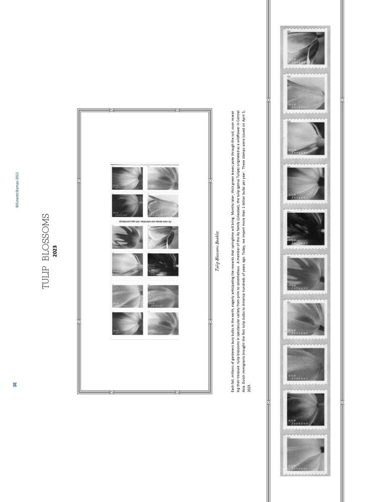 2023 U.S. Regular Issue Plate Block Supplement (White Ace Alternative)