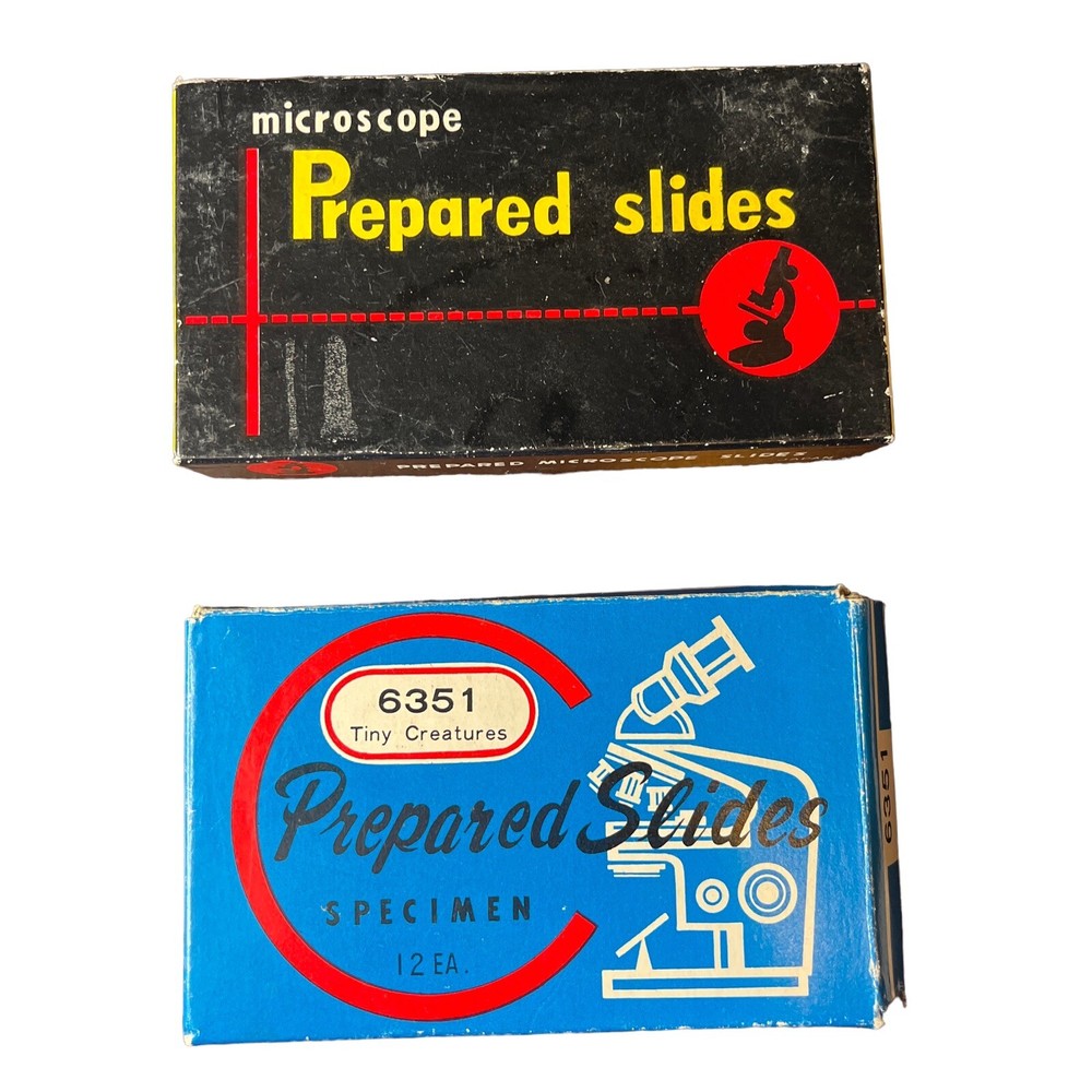 Vintage MICROSCOPE PREPARED SLIDES~2 Sets Vegetables & Tiny Creatures~Made Japan