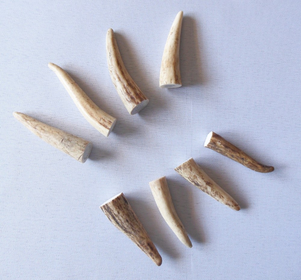 Deer Antler Tips