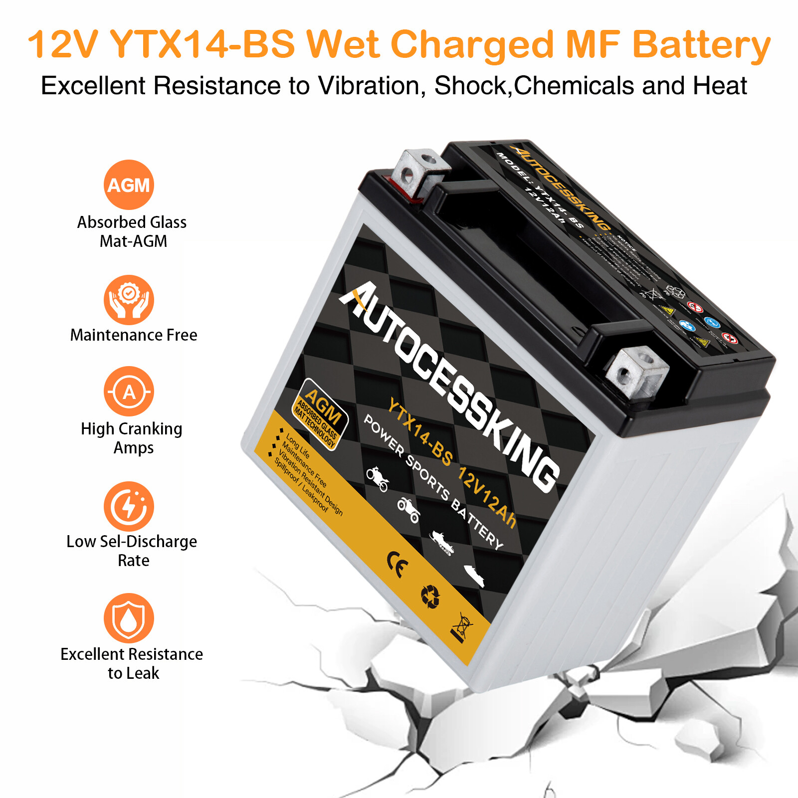 YTX14-BS Motorcycle Battery Sealed Rechargeable AGM CTX14 ETX14-BS ATV Scooter