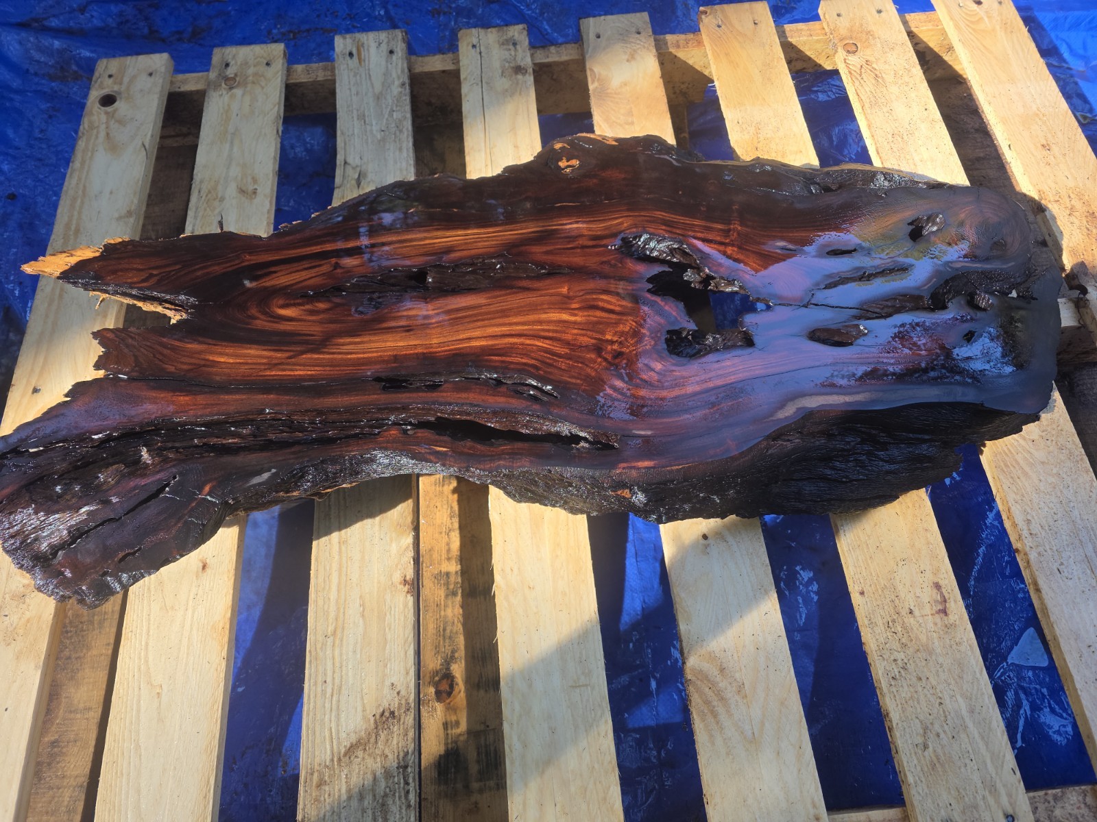 Desert Ironwood Live Edge Slab Epoxy Resin River Table Woodworking Art Mill Log