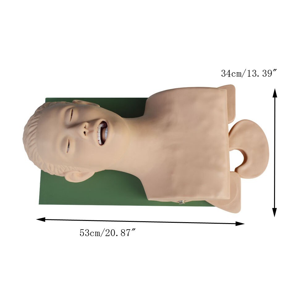 110V-220V Universal Tracheal Intubation Training Teaching Model with Indicator