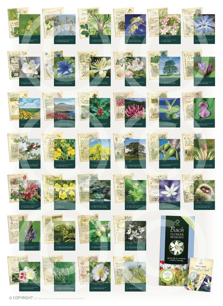 Bach Flower Divination Cards Pack 38 Beautiful illustrations, proverbs, quotes