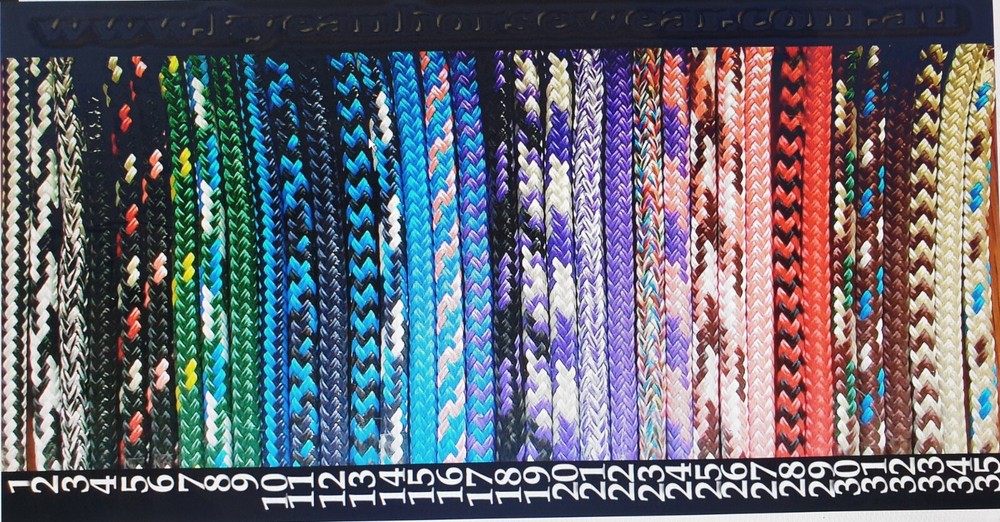 LOPING HACKAMORE with PLAITED ROPE BOSAL, BITLESS BRIDLE