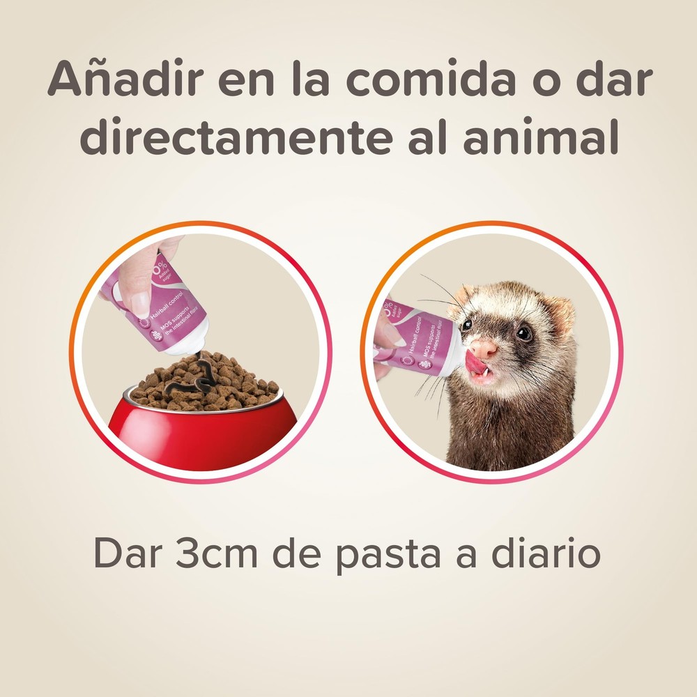 Malt Paste Ferrets & Treat