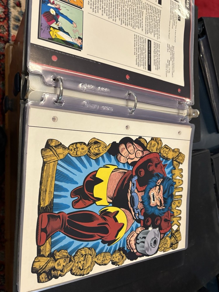 Comic Book Bio Binder