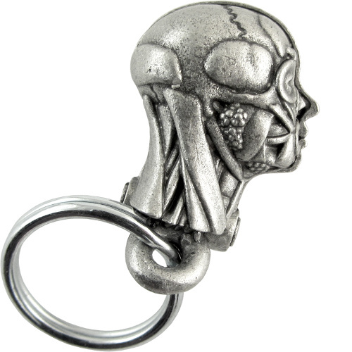 Anatomical Human Head Keychain - Medical Anatomy, Biology, Neurology