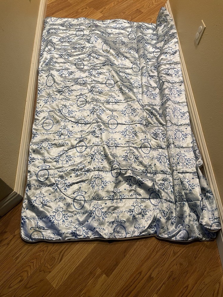 disney Princess sleeping bag with bag