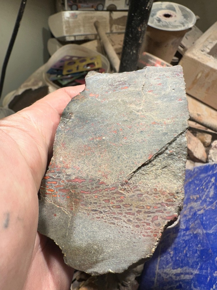 Dinosaur bone rough chunk. (344.7 grams)