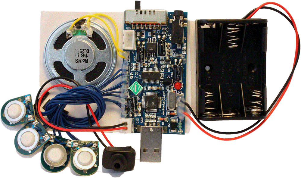 USB6M - 300 Second USB Recording Module WITH LIGHT SENSOR and Buttons (W10 an 7)