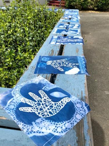 Cyanotype Sensitizer Set