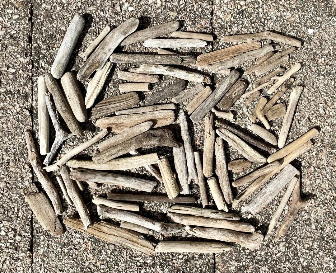 SM Genuine Driftwood Branches 1/2''- 6'' Bulk Lot 12 Pieces 4 DIY Wall Decor Art