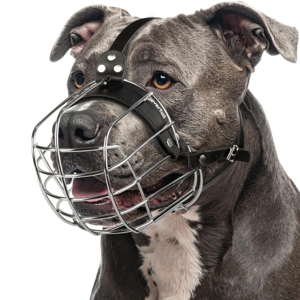 CleverTail Metal Pitbull Muzzle for Large Large, Silver Wire & Black Straps