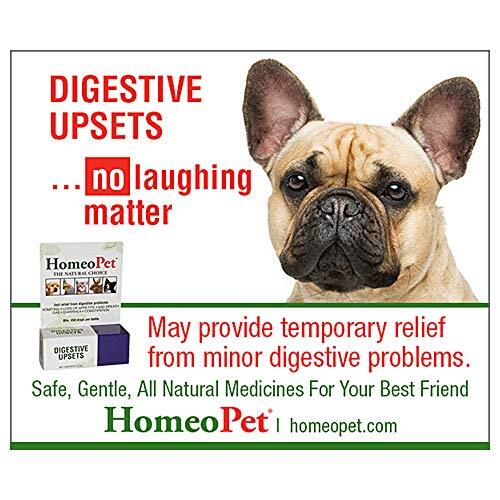 HomePet Digestive Upsets