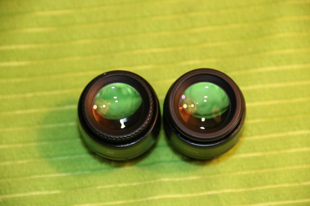 NIKON CFI 10X/22 One M MICROSCOPE EYEPIECE PAIR FOR ECLIPSE E & I SERIES