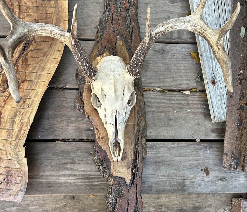 Custom Wooden Mounts