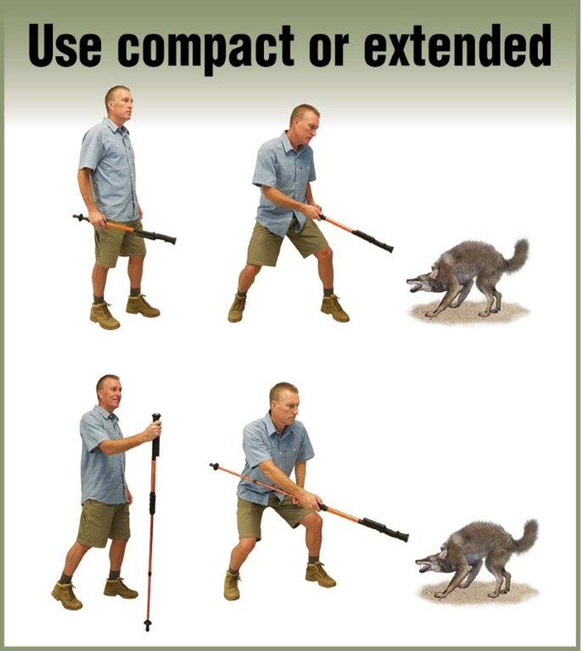 ZAP Hike 'n Strike Stun Gun Walking Hiking Stick with Flashlight