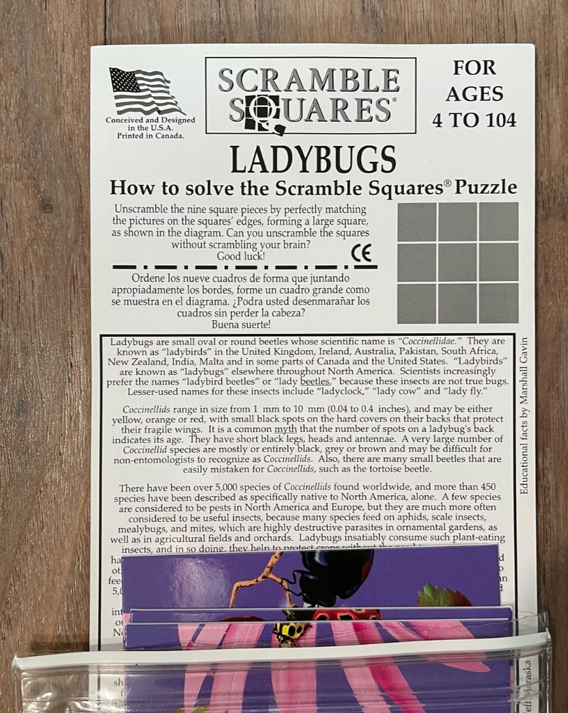 New Square-Piece Ladybug Puzzle