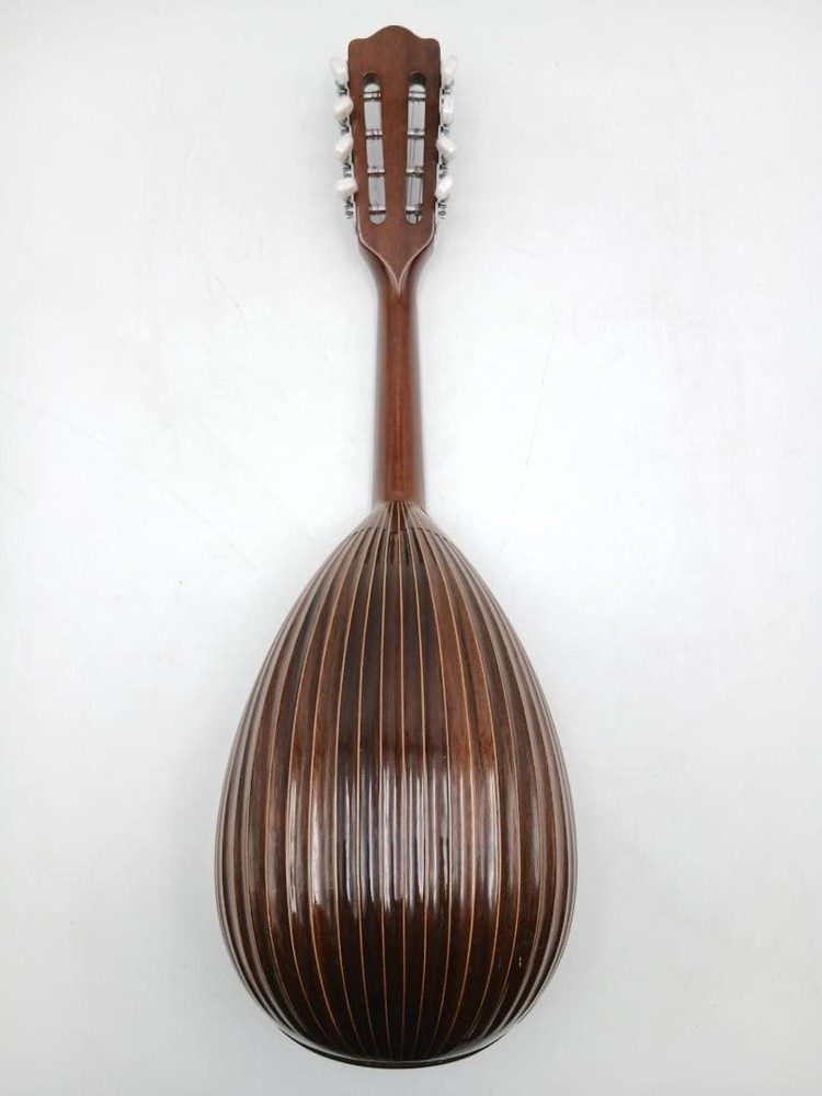 Suzuki violin mandolin with hard case