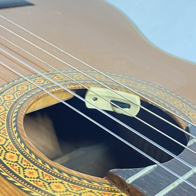 Takamine Hybrid Guitar-W/Access.