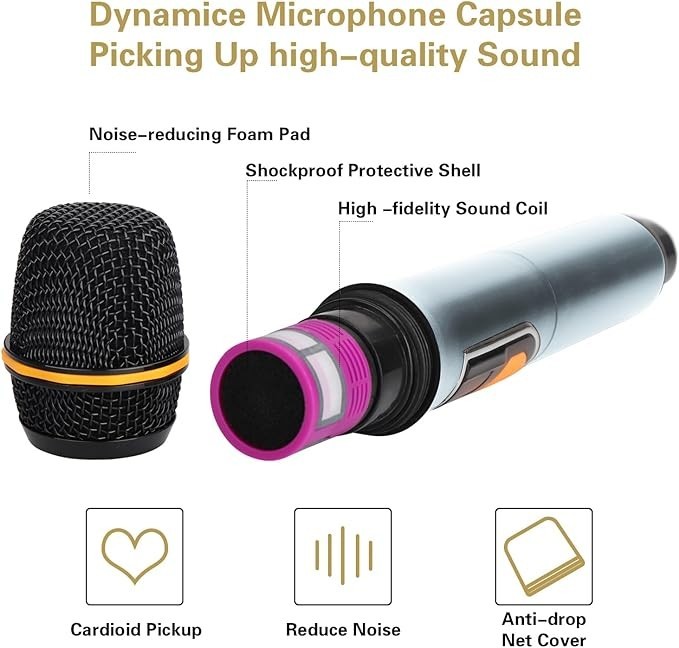 Wireless Microphone UHF Dual Handheld Dynamic Mic System Receiver Rechargeable