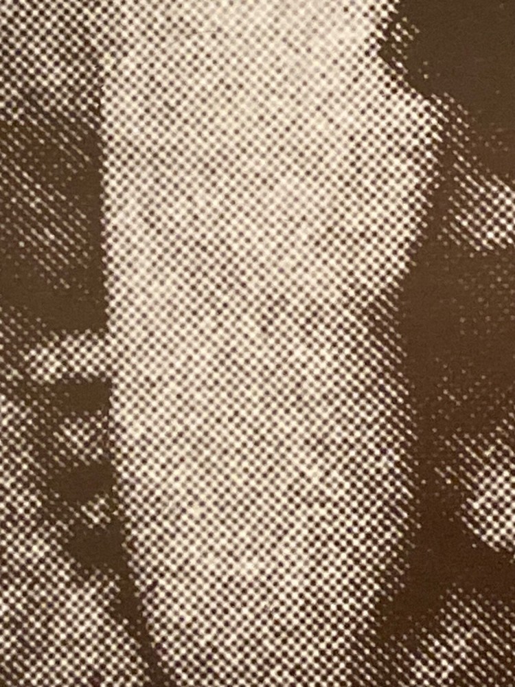 Frank Zappa Crappa On Toilet 1981 German Version AGI Ltd I