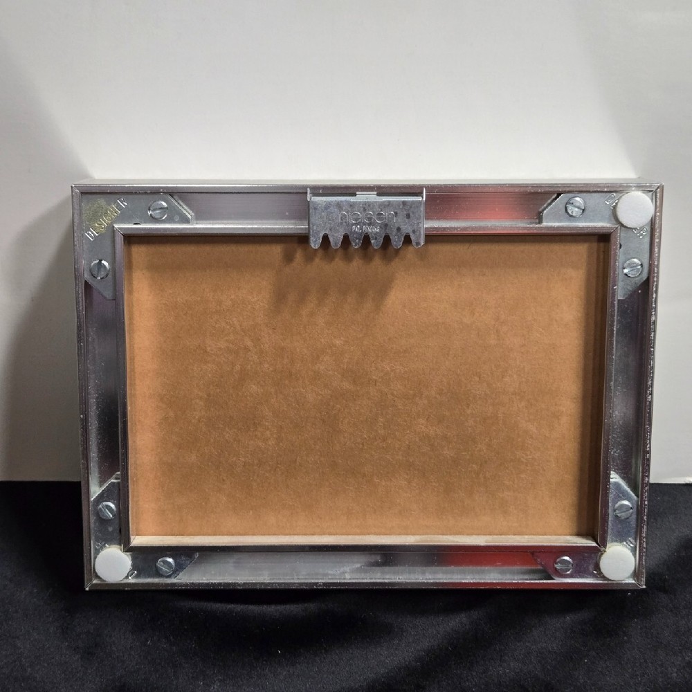 Framed SPONDYLUS Shell 7" x 5" overall Ready to Hang