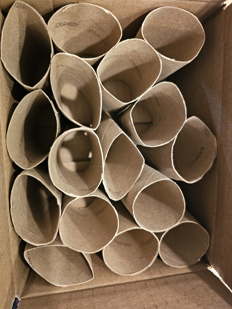 16 Empty Toilet Paper Rolls - great for Craft Projects