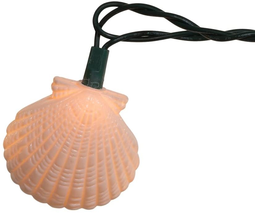 Shell and starfish light set