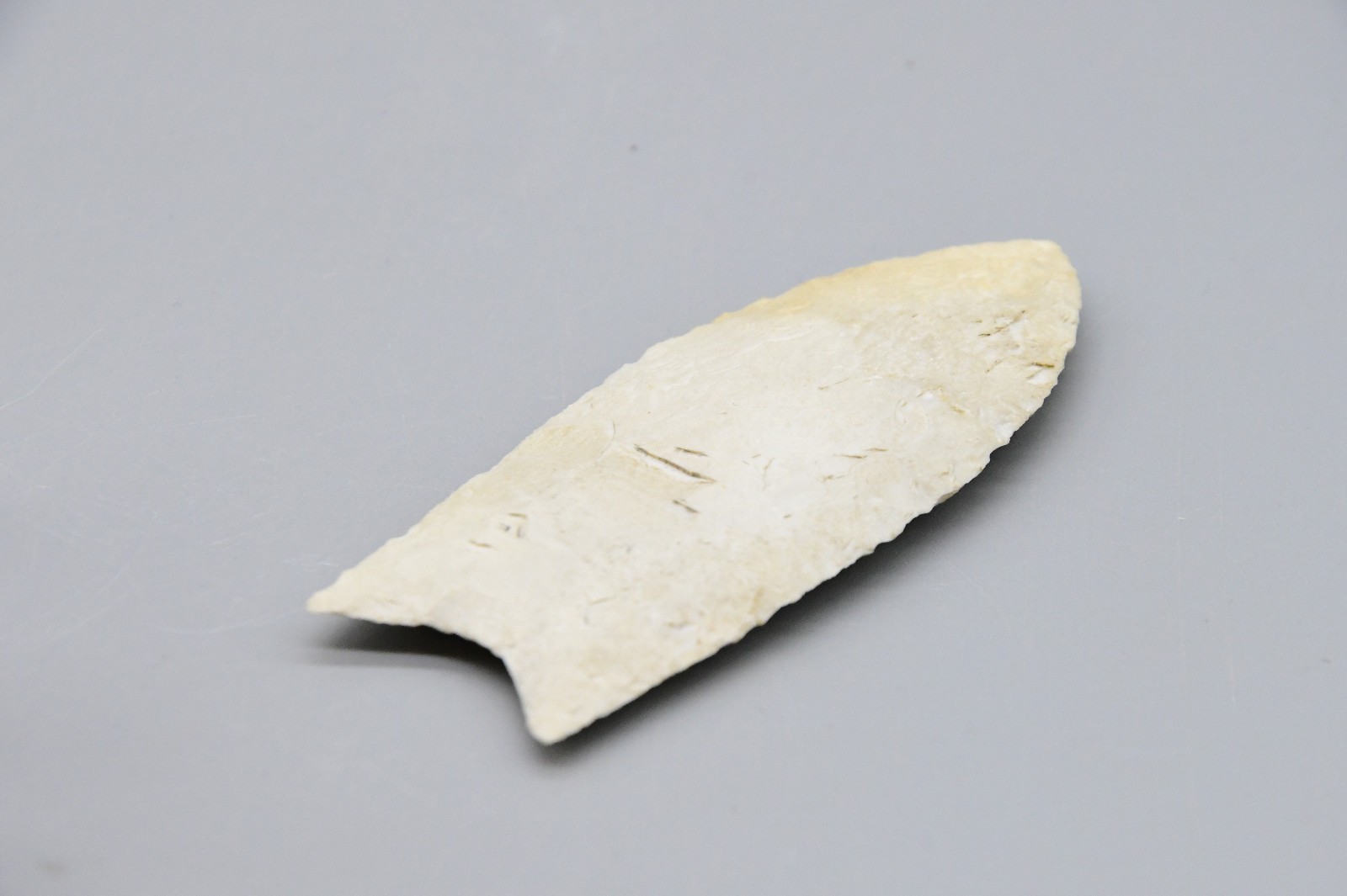 Clovis Point White Mint Condition 3" Long 1.5" Wide Brown County, Illinois