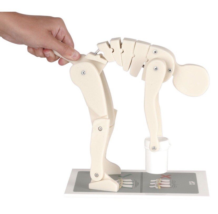 ESP Safe Lifting Training Mannequin, Brand New ergonomics training model