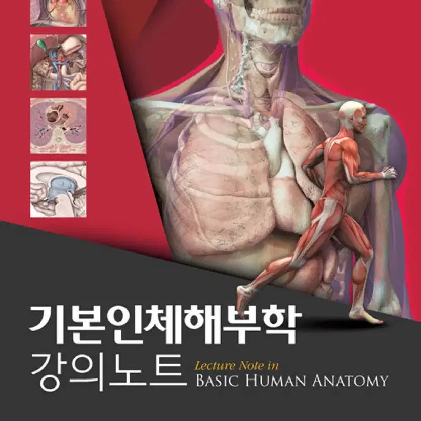 Anatomy Lecture Notes - Basic Human Anatomy Study Material