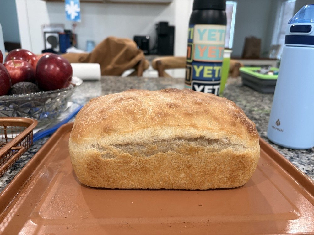 Dried Sourdough Starter with Instructions